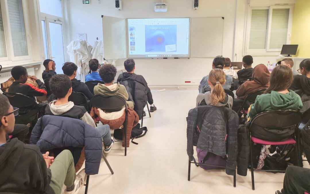 INTERVENTION AU COLLÈGE PAUL ELUARD, BRÉTIGNY (91) ~ LE 25 NOVEMBRE 2024