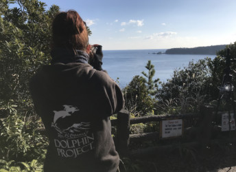 Les Cove Monitors du Dolphin Project Cove scrutent l'horizon, traquant le moindre signe d'un rabattage de dauphins, Taïji, Japon. Crédit: DolphinProject.com