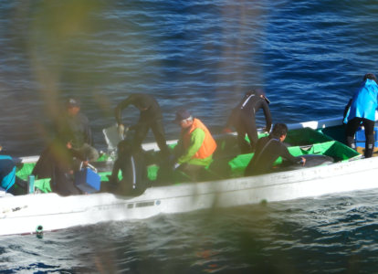 Dresseurs avec quatre dauphins bleu et blanc fraichement capturés, Taïji, Japon. Crédit: DolphinProject.com